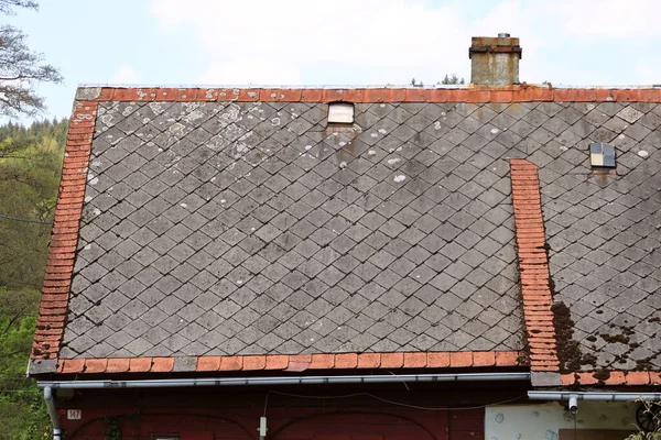 stock image moss and algae on slate roof tiles.