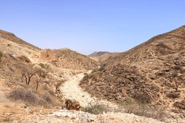 Paesaggio Con Alberi Incenso Nelle Montagne Del Dhofar Oman — Foto Stock