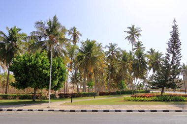 Sultan Qaboos bin Said 'in Salalah' taki Al-Husn Sarayı, Umman 'daki Zufar ili.