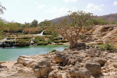 Darbat Şelaleleri, Salalah, Umman