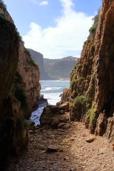 바다로 들어가는 스나의 머리들 남아프리카 공화국 — 스톡 사진
