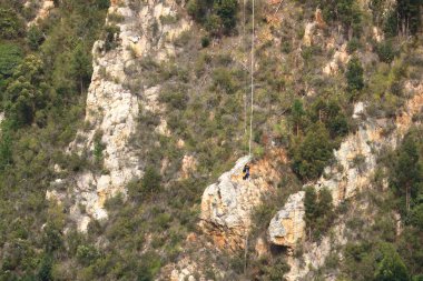 28 Eylül 2022 - Güney Afrika 'daki Bloukrans Köprüsü: Kimliği belirsiz bir bungee jumper, Bloukrans Köprüsü' nde dünyanın en yüksek ticari bungee jumping 'inde 216 metrede, Afrika' nın en yüksek köprüsü olan