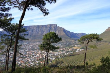 Güney Afrika 'daki Sinyal Tepesi tarafından yakalanan Cape Town şehrine bakın.
