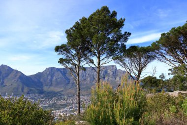 Güney Afrika 'daki Sinyal Tepesi tarafından yakalanan Cape Town şehrine bakın.