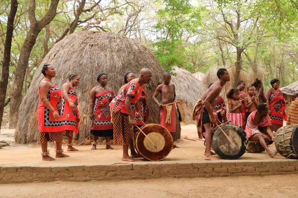 2022年10月1日 斯威士兰Matsamo文化村 斯威士兰舞蹈家赤脚跳传统歌舞 穿着传统服装和服装 — 图库照片