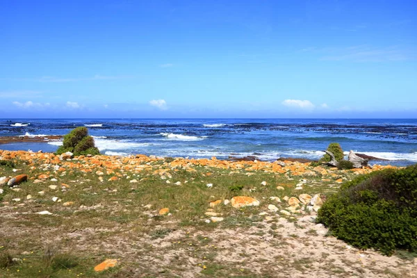 Paisaje Costero Vista Del Cabo Buena Esperanza Sudáfrica — Foto de Stock