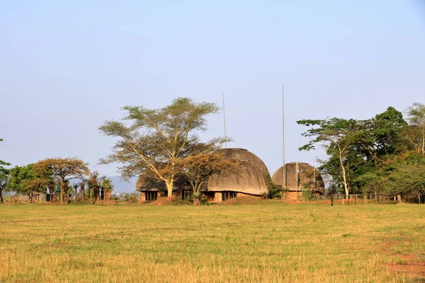Традиционная Деревня Заповеднике Млильване Свазиленде — стоковое фото