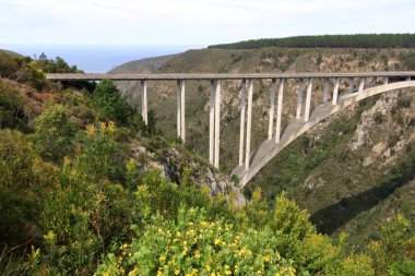 Güney Afrika 'daki Garden Route' daki Bloukrans Nehri Köprüsü 'nün güzel manzarası. Dünyanın en yüksek bungee jumping noktası