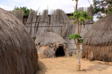 Traditional Cultural Village Matsamo, Eswatini, Swaziland clipart
