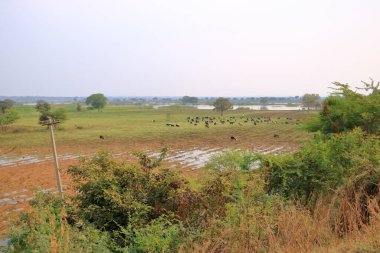 Backwaters near Bidar, Karnataka in India