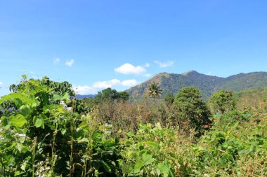 Muhteşem batı ghatlarının güney ucundaki muhteşem manzara. Paithalmala, Hindistan 'ın Kerala eyaletinin Kannur ilçesinde yer alır..