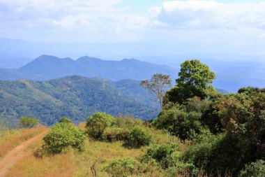 Güçlü batı ghatlarının güney ucu manzarası. Paithalmala, Hindistan 'ın Kerala eyaletinin Kannur ilçesinde yer alır..