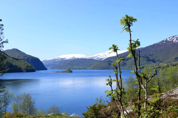 Sorfjorden Kilometer Lange Zijfjord Naar Hardangerfjord Noorwegen — Stockfoto