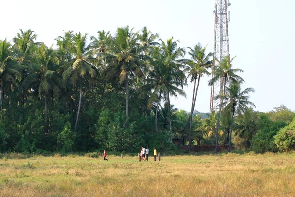 Декабря 2022 Каннур Штат Керала Индия Дети Играют Футбол Лугу — стоковое фото