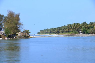 Hindistan 'da Kerala, Kannur' daki Dharmadam plajının arkasındaki göl ve durgun sular.