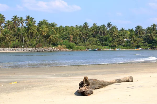 Λίμνη Και Backwaters Πίσω Από Dharmadam Παραλία Στο Kannur Κεράλα — Φωτογραφία Αρχείου
