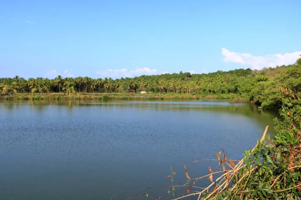 Blick Auf Das Rückwasser Schwimmenden Vayalapra Park Distrikt Kannur Kerala — Stockfoto