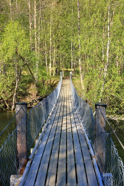 Μικρή Κρεμαστή Πεζογέφυρα Πάνω Από Μικρό Ποτάμι Στη Νορβηγία — Φωτογραφία Αρχείου