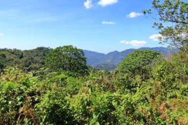 Muhteşem batı ghatlarının güney ucundaki muhteşem manzara. Paithalmala, Hindistan 'ın Kerala eyaletinin Kannur ilçesinde yer alır..