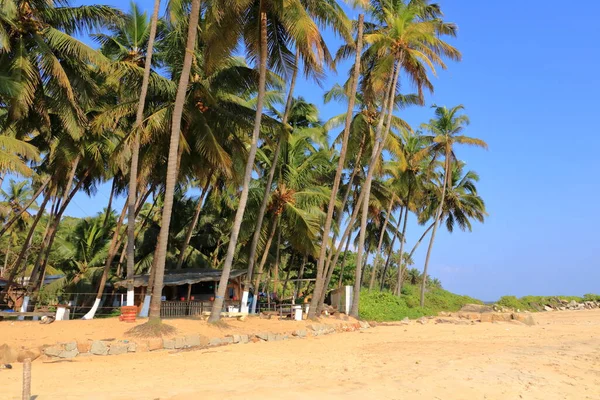 Пляж Еттікулам Поблизу Каннура Керала Інді — стокове фото