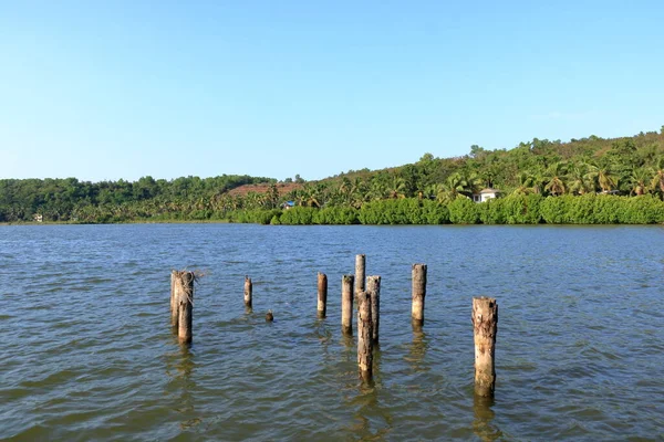 Backwater View Parque Flutuante Vayalapra Distrito Kannur Kerala Índia — Fotografia de Stock