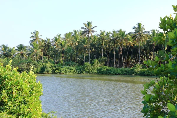 Vista Trasera Parque Flotante Vayalapra Distrito Kannur Kerala India — Foto de Stock