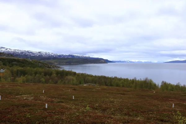Prachtige Landschapsfoto Langs Kust Alta Noorwegen Met Prachtige Bergen Achtergrond — Stockfoto