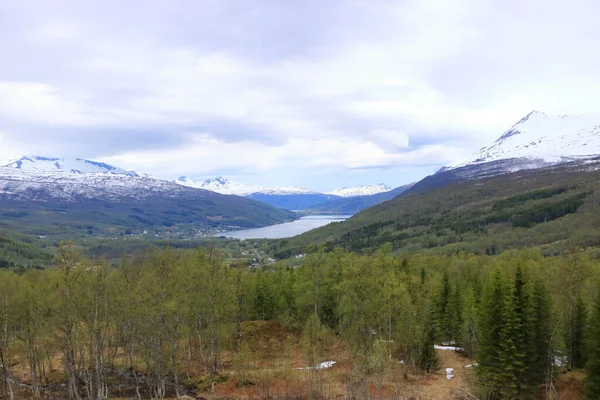 Fiordo Gratangen Norvegia Vista Dall Alto — Foto Stock