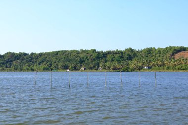 Hindistan, Kerala 'da Kannur Bölgesi' ndeki Vayalapra Yüzen Parkı 'nda durgun su manzarası