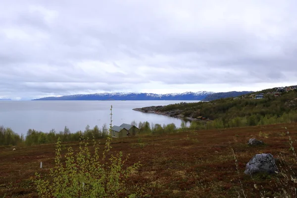 Piękny Krajobraz Wzdłuż Wybrzeża Alta Norwegia Pięknymi Górami Tle Morza — Zdjęcie stockowe