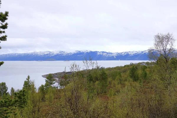 挪威阿尔塔海岸的美丽风景画 夏天背景是美丽的群山 — 图库照片