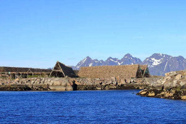 Stockfish Або Суха Риба Сушить Повітрі Свольвері Норвегія — стокове фото