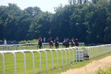 16 Haziran 2018 - Dresden Seidnitz, Almanya 'da Galopprennbahn: At yarışına hazırlık
