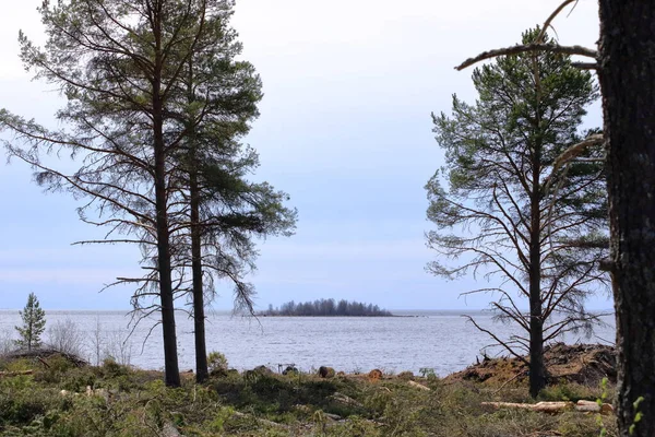 フィンランドのメリヘルミ近くのバルト海沿岸の風景 — ストック写真