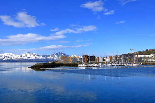 Травня 2022 Року Тромсо Норвегії Мальовнича Гавань Тромсо Півночі Норвегії — стокове фото