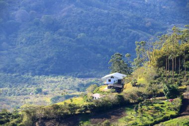 the Landscape near in Paraiso around Orosi Valley near the city of Cartago, Costa Rica clipart