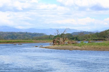 Kosta Rika 'da Tarcoles yakınlarında Rio Tarcoles' de tekne gezisi.