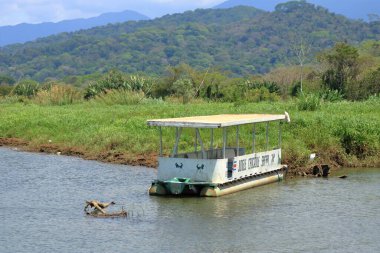 6 Mart 2023 - Kosta Rika 'da Tarcoles: İnsanlar Rio Tarcoles' da tekne ile vahşi yaşam gezisinin tadını çıkarıyor