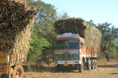 18 Aralık 2022 - Hindistan 'da Karnataka: Şeker kamışı yüklü kamyon fabrikaya gidiyor