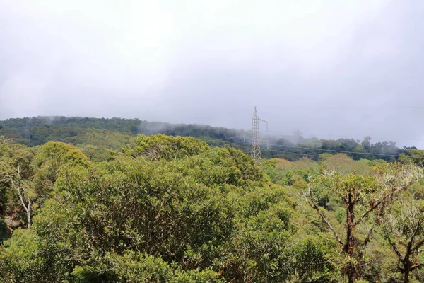 Kilátás Nyílik Nagy Magasságban Felhő Erdő Közelében Cerro Muerte Talamanca — Stock Fotó