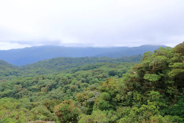 Photo Aérienne Parc National Monteverde Costa Rica Célèbre Forêt Nuageuse — Photo