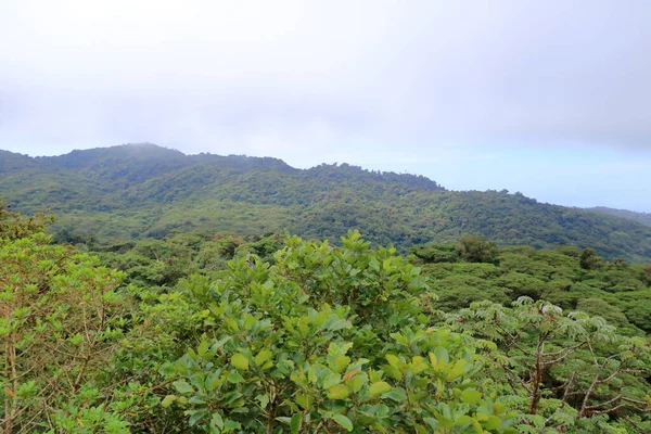 Foto Aérea Del Parque Nacional Monteverde Costa Rica Famoso Bosque —  Fotos de Stock