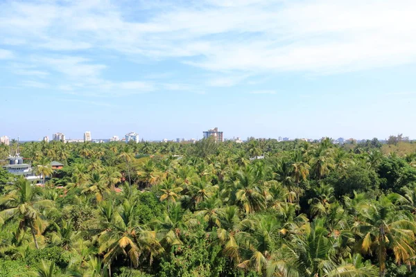 Kannur Şehrinin Hava Manzarası Güzel Kerala Doğa Manzarası Hindistan Daki — Stok fotoğraf