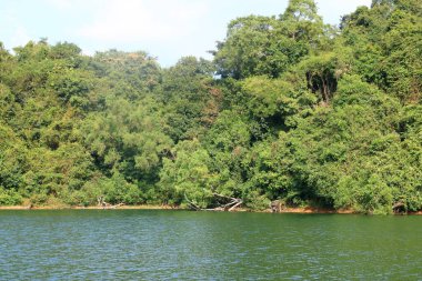 Peruvannamuzhi 'deki göl (peruvannamoozhi) barajı, Kuttyady (Kuttiady, Kuttyadi), Hindistan' daki Kerala