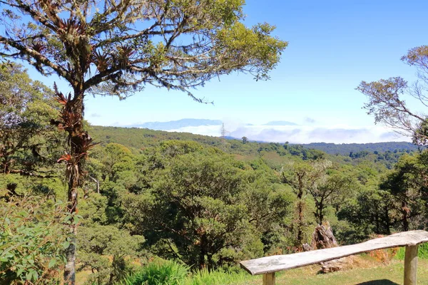 Вид Высокогорный Облачный Лес Районе Серро Мюзик Таламанка Маунтинс — стоковое фото