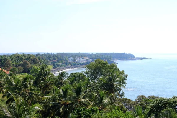 Luchtfoto Uitzicht Kannur Stad Prachtige Kerala Natuur Landschap Kokosnoot Bomen — Stockfoto