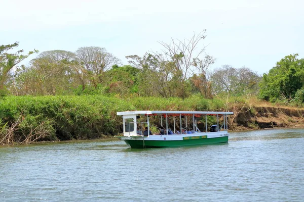 Marzo 2023 Tarcoles Costa Rica Gente Disfruta Una Excursión Barco —  Fotos de Stock