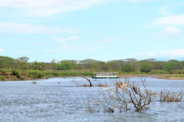 Kosta Rika 'da Tarcoles yakınlarında Rio Tarcoles' de tekne gezisi.