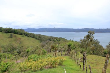 Kosta Rika 'da göl arenalı bulutlu gökyüzüne karşı yemyeşil ağaçların yemyeşil bir manzarası.