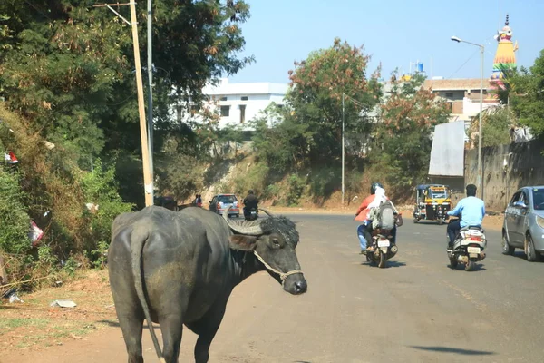 stock image December 17 2022 - Bidar District, Karnataka in India: Indian Traffic on dusty streets